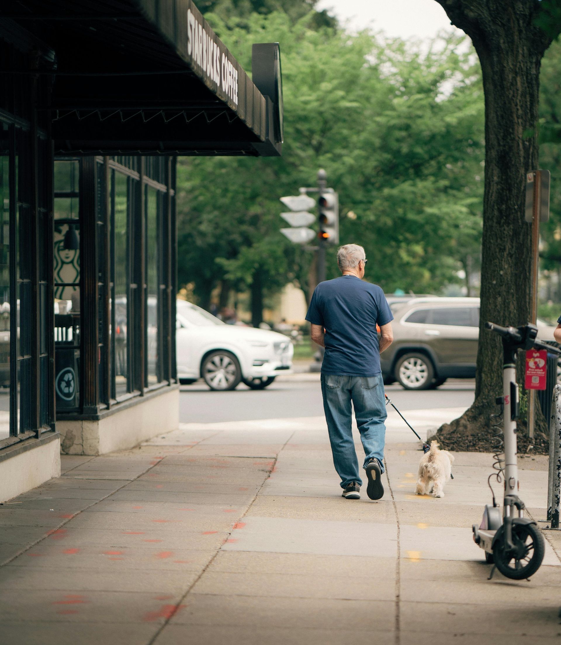 A man is walking a dog on a leash on a sidewalk