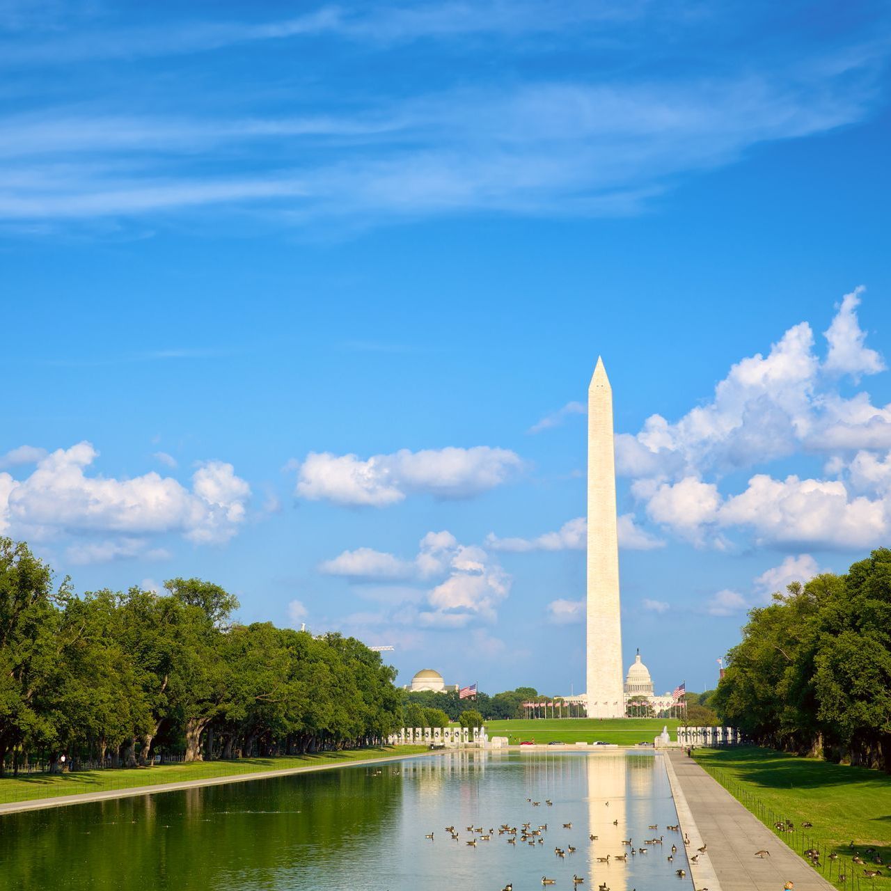 The washington monument is surrounded by trees and a body of water.