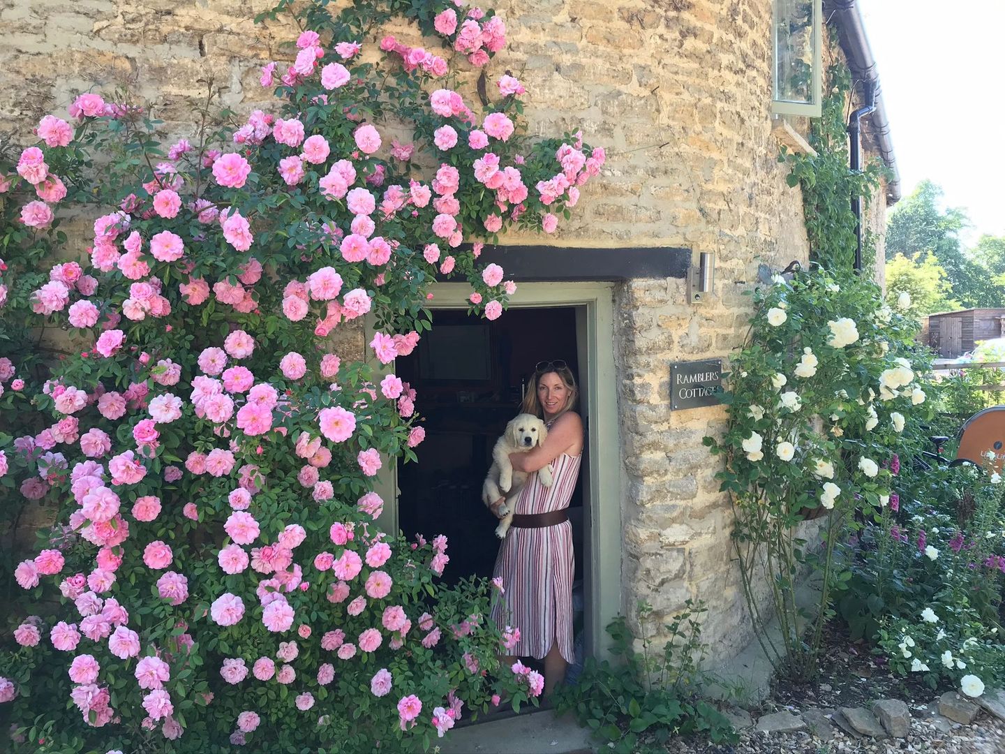 Finished project with roses growing up the wall