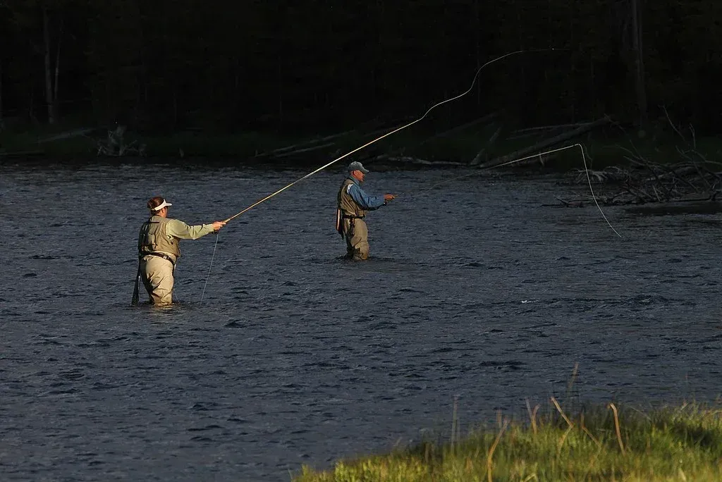 Two anglers wading in a river, casting lines in a dark wooded setting at dusk.