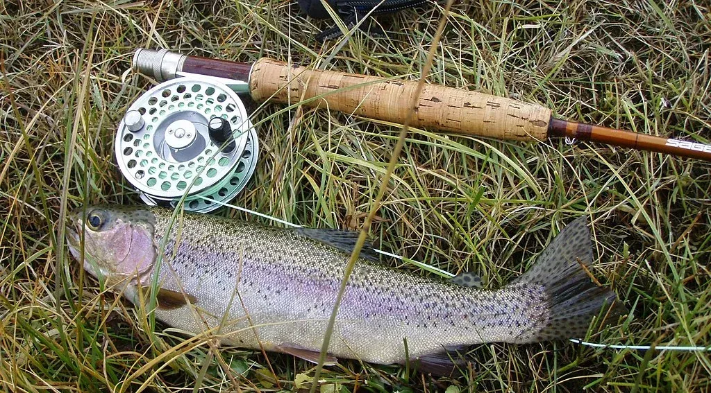 Freshly caught fish beside a fishing rod and spinning reel on grass