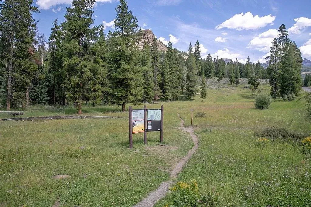 Grassy trail leading to a small information sign in a forest clearing under a blue sky