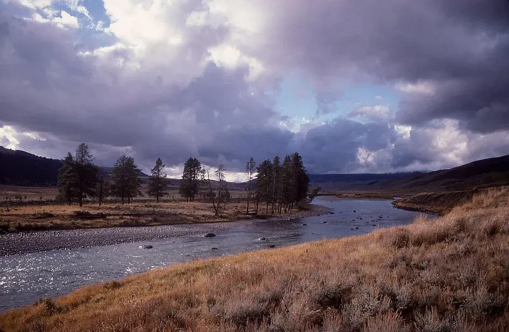 A winding river through a grassy valley under dramatic cloudy skies, with dark trees in the distance