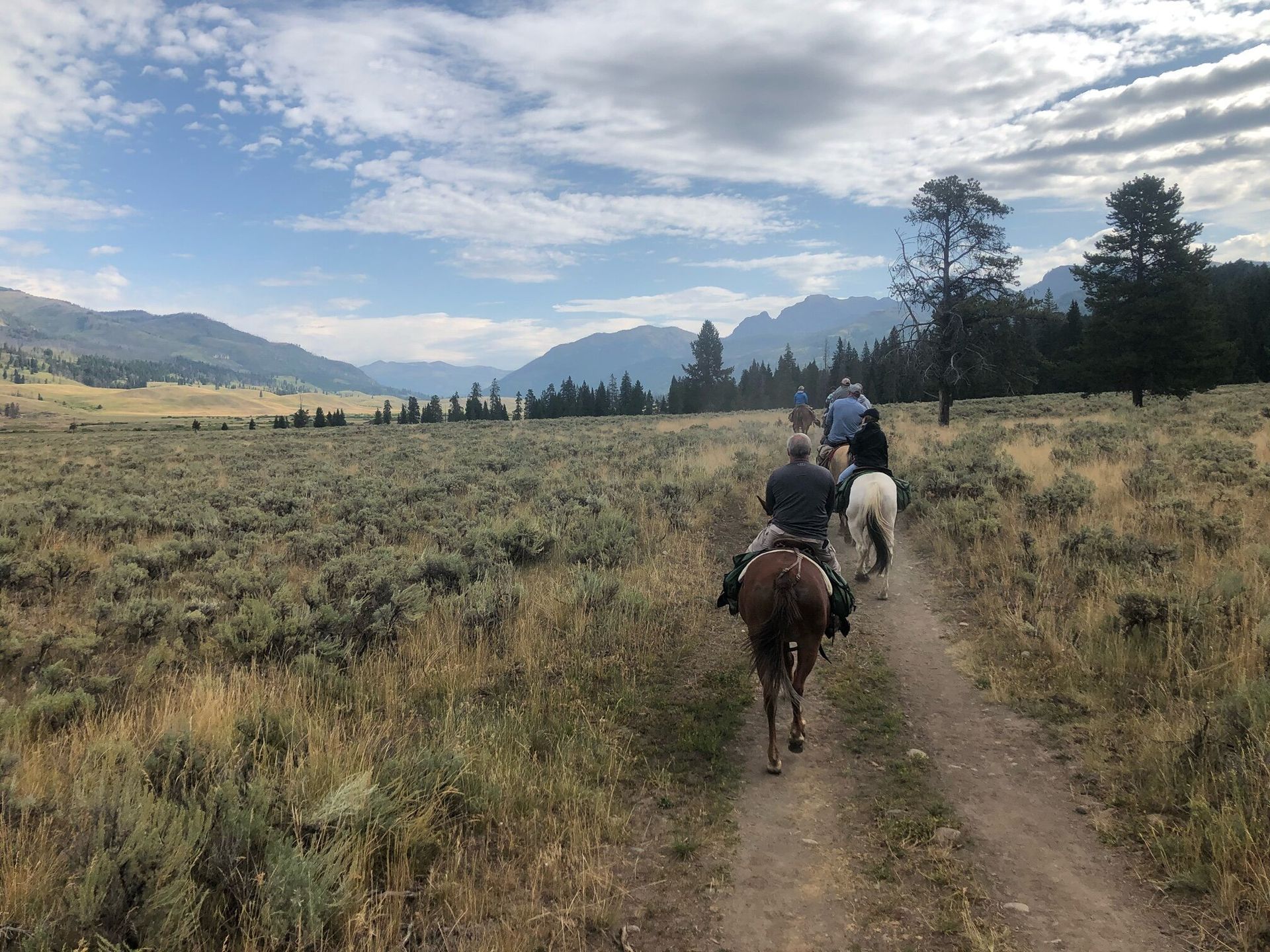 Two horseback riders on a dirt trail through a grassy mountain meadow under a cloudy sky