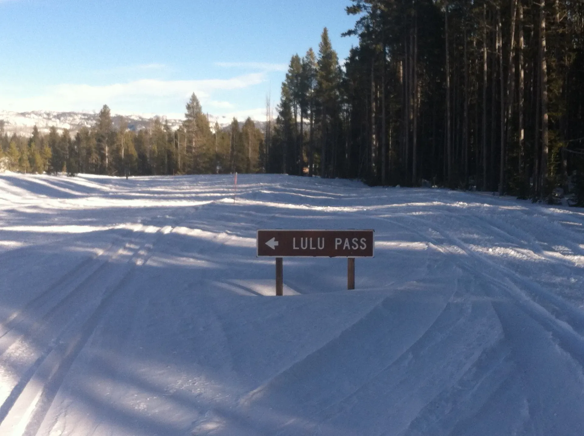 Snowy forest road with a brown sign reading “LULU PASS” under a clear blue sky.