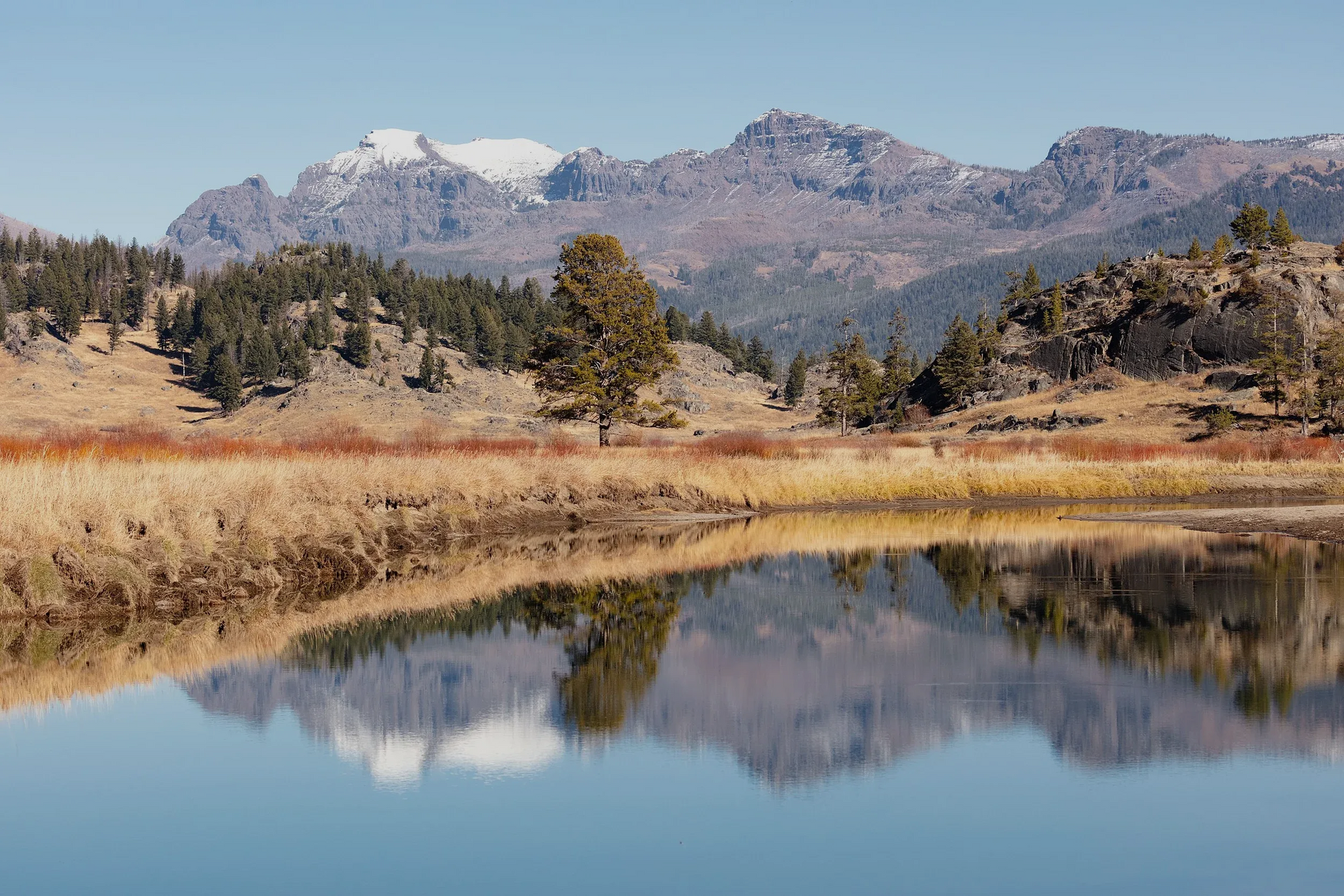 Mountain lake reflecting pine trees and rugged peaks under a clear sky