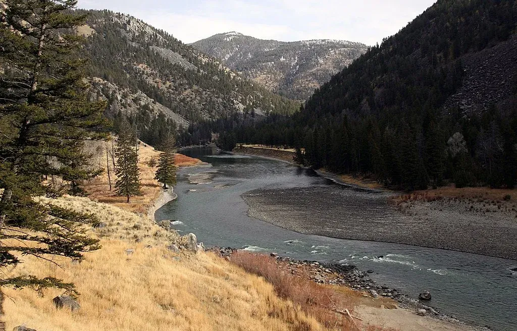Mountain river winding through a forested valley with rocky slopes and dry grass in the foreground