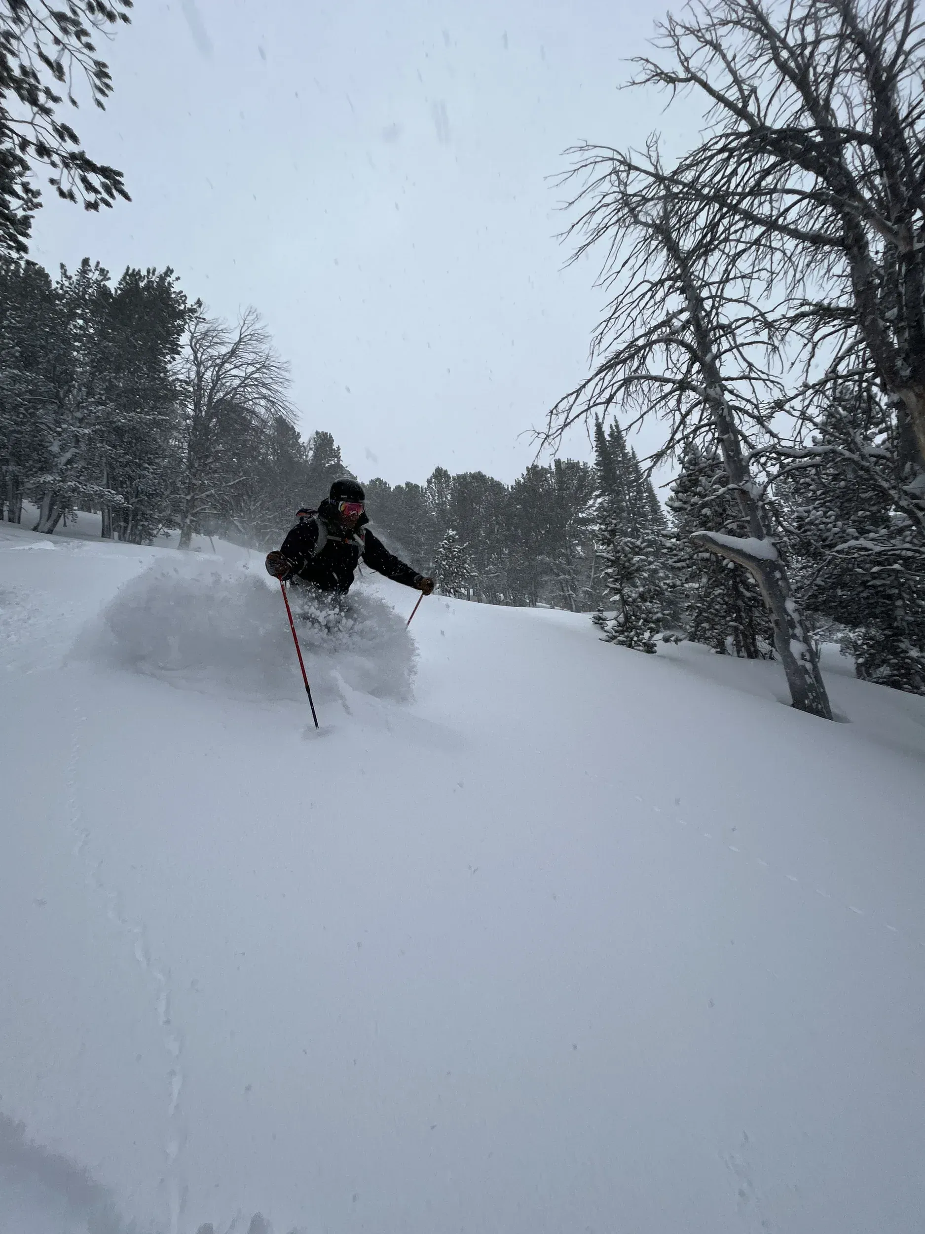 Skier carving through deep powder in a snowy forest