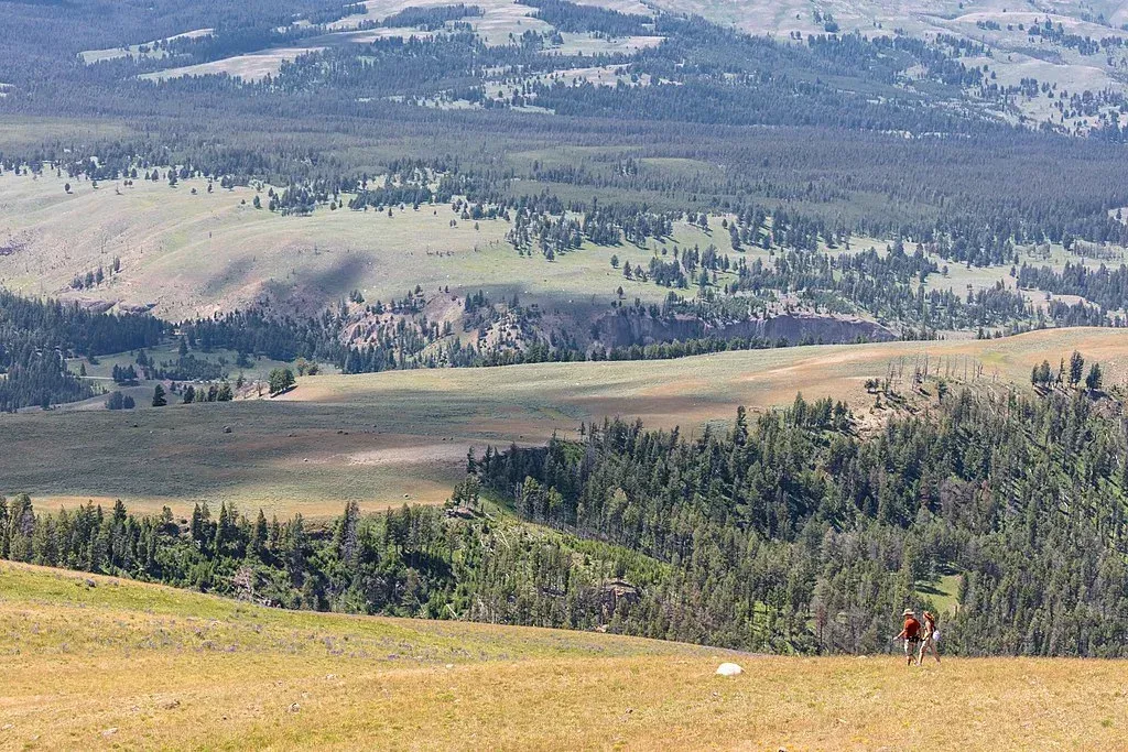 Wide mountain meadow overlooking forested hills and distant snowy peaks, with a small hiker in the foreground.