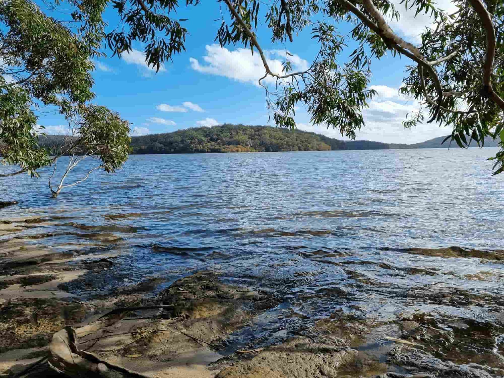 A Large Body of Water Surrounded by Trees on a Sunny Day — Mackie's Concrete Pumping In Smiths Lake, NSW