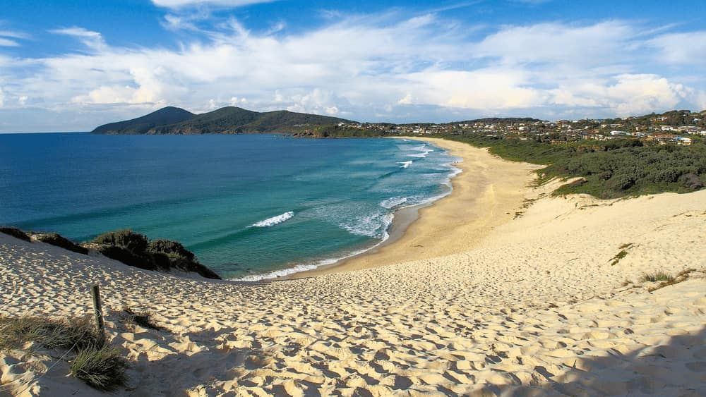 A View of a Beach From a Sand Dune — Mackie's Concrete Pumping In Forster, NSW