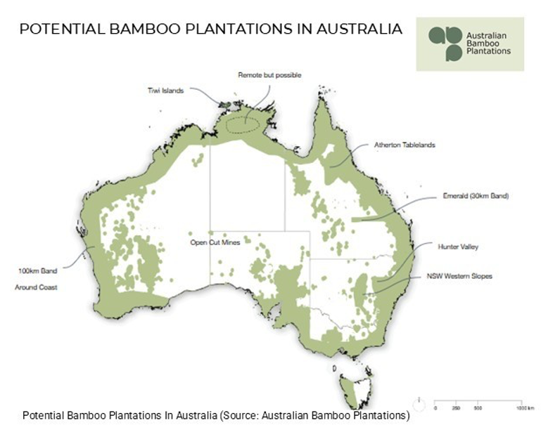 A map of potential bamboo plantations in australia