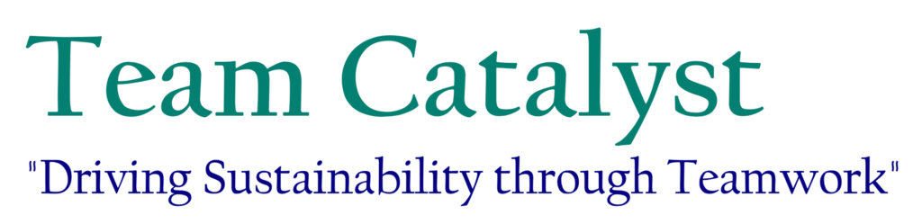 Team Catalyst Website