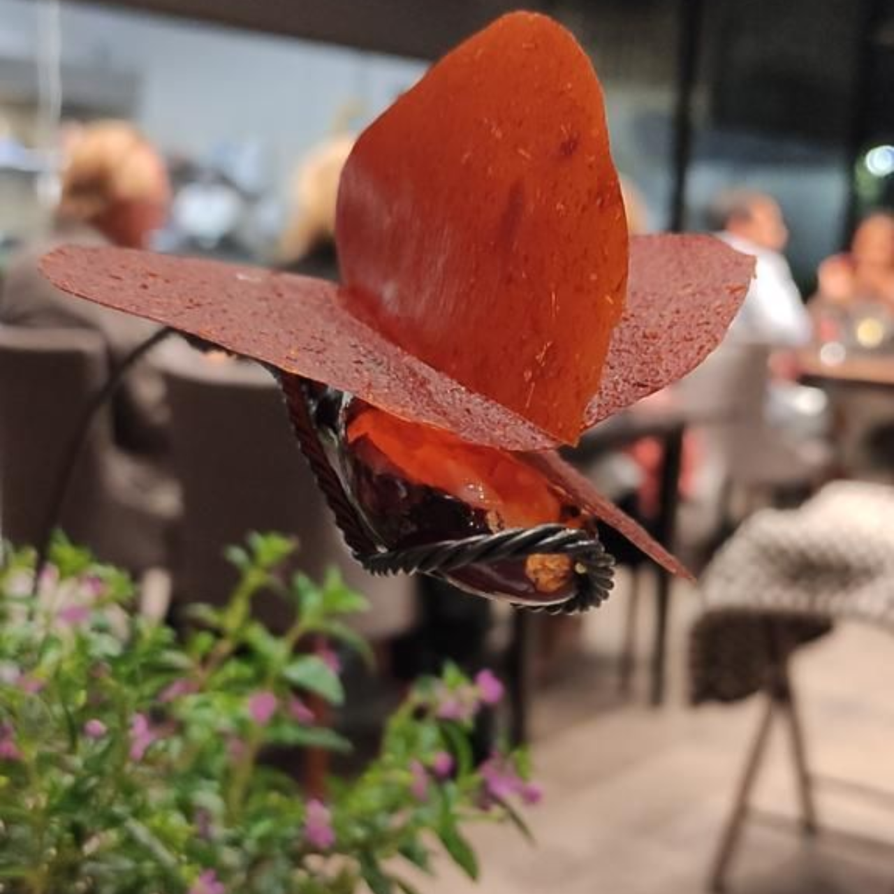 Borago One Of The 50 Best Restaurants In The World
Santiago de chile
LGBT+ travel