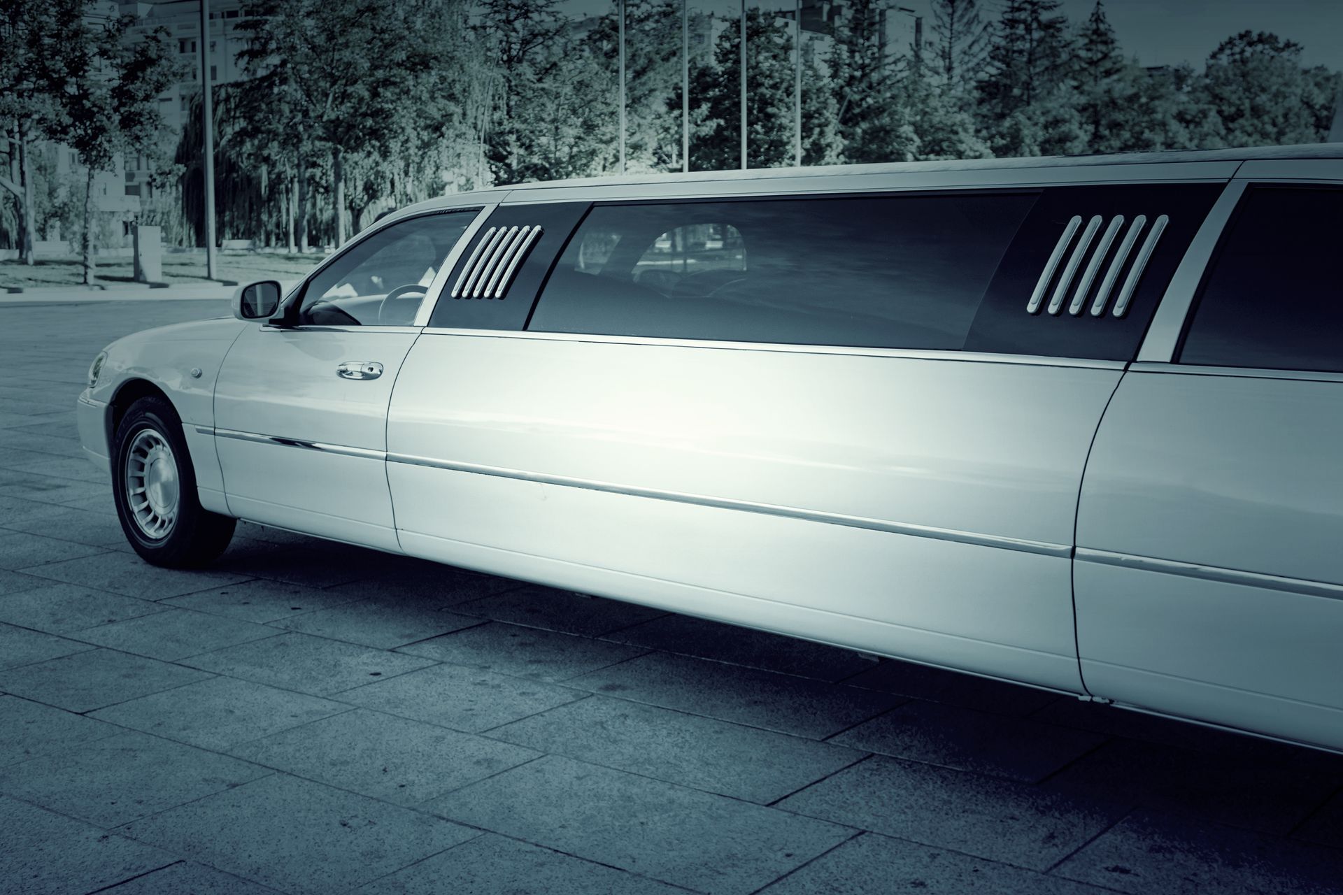 White stretch limousine parked on a paved street with trees in the background White stretch limousine parked on a paved street with trees in the background