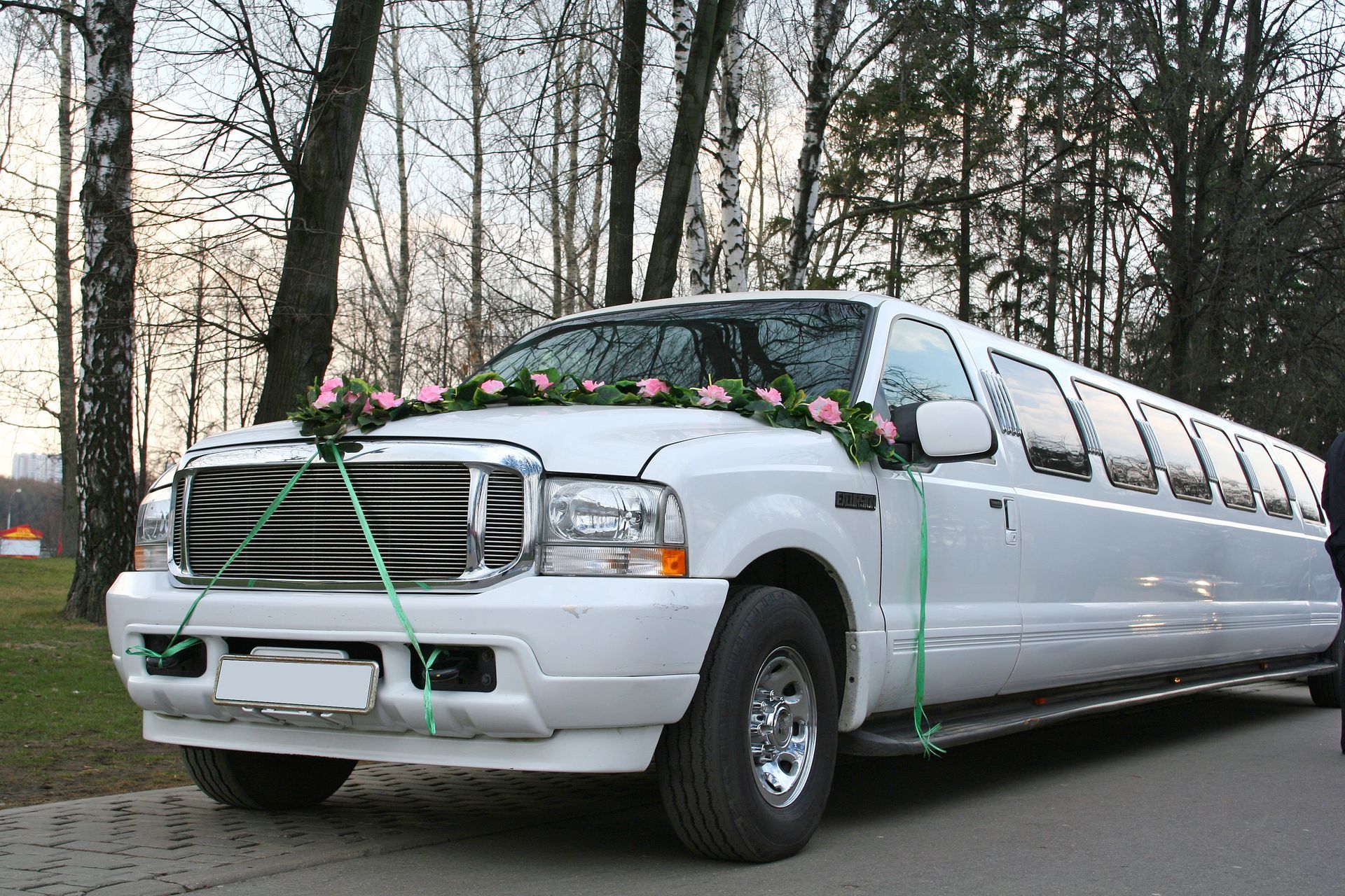 White stretch limousine decorated with pink flowers and green ribbons, parked on a street by trees. White stretch limousine decorated with pink flowers and green ribbons, parked on a street by trees.