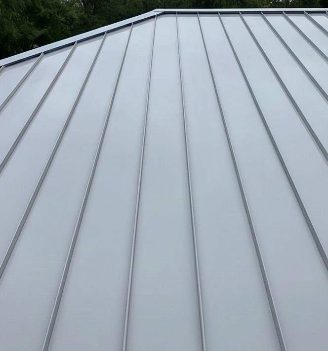 Metal roof cleaning after