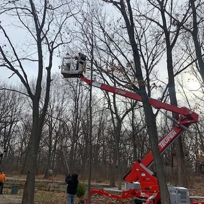 Bucket truck reaching into tree branches during a Kenosha tree trimming job