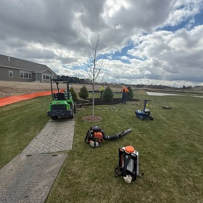 Newly planted tree with crew installing landscaping near a new construction home