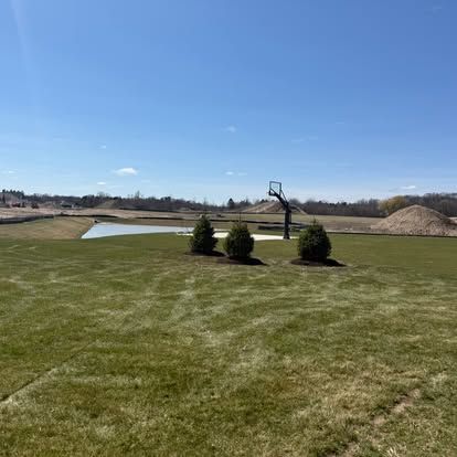 Newly planted trees near a pond at a new construction property
