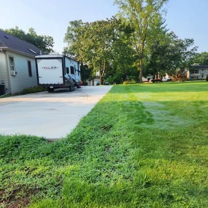 Row of privacy trees planted along a driveway before landscaping in Kenosha, WI