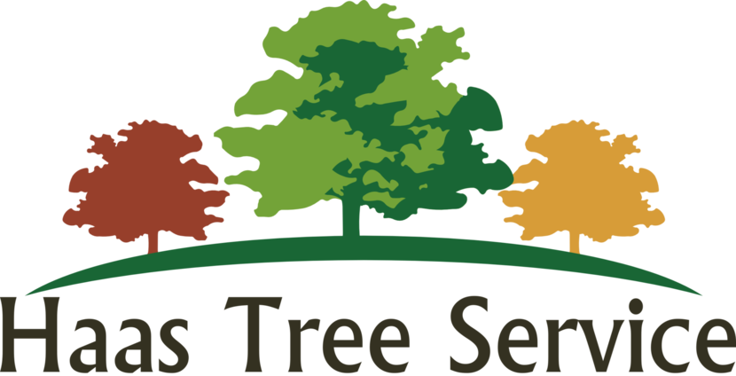 Haas Tree Service logo