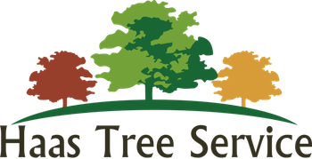 Haas Tree Service logo