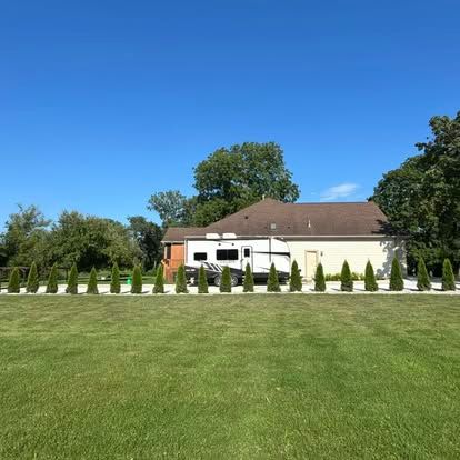 Row of privacy trees planted for a new construction property