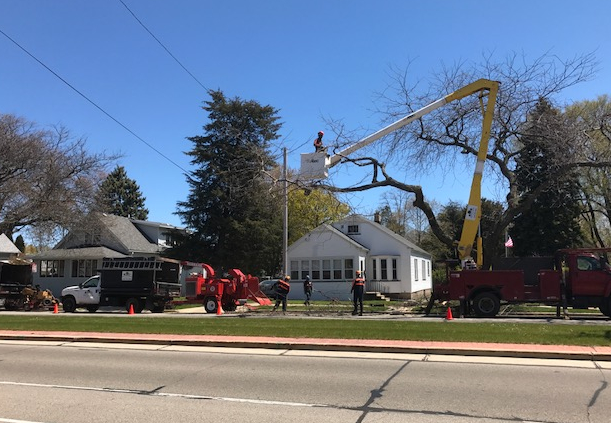 Bucket lift cutting a large tree limb near a home in Kenosha, WI