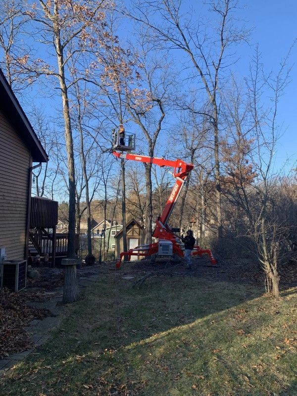 Aerial bucket lift positioned for tree removal beside a home in Kenosha, WI