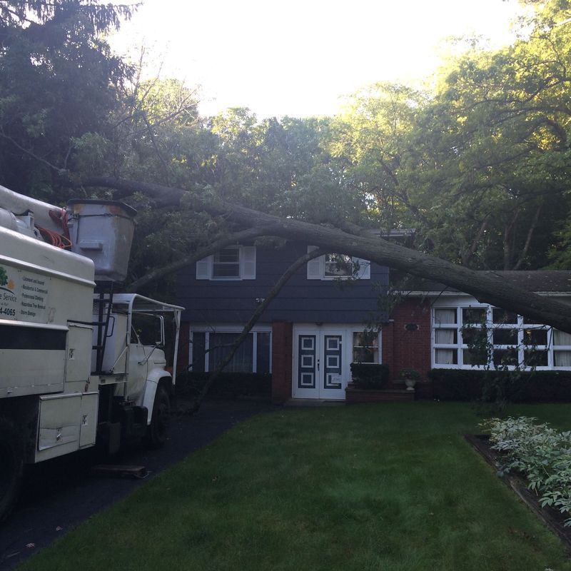 Large tree fallen onto a home during emergency tree removal in Haas Tree Service area
