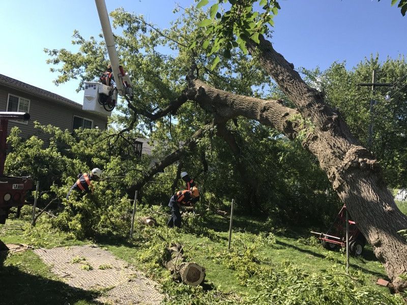 Emergency tree service crew working on a large storm-damaged tree near a home in Kenosha, WI