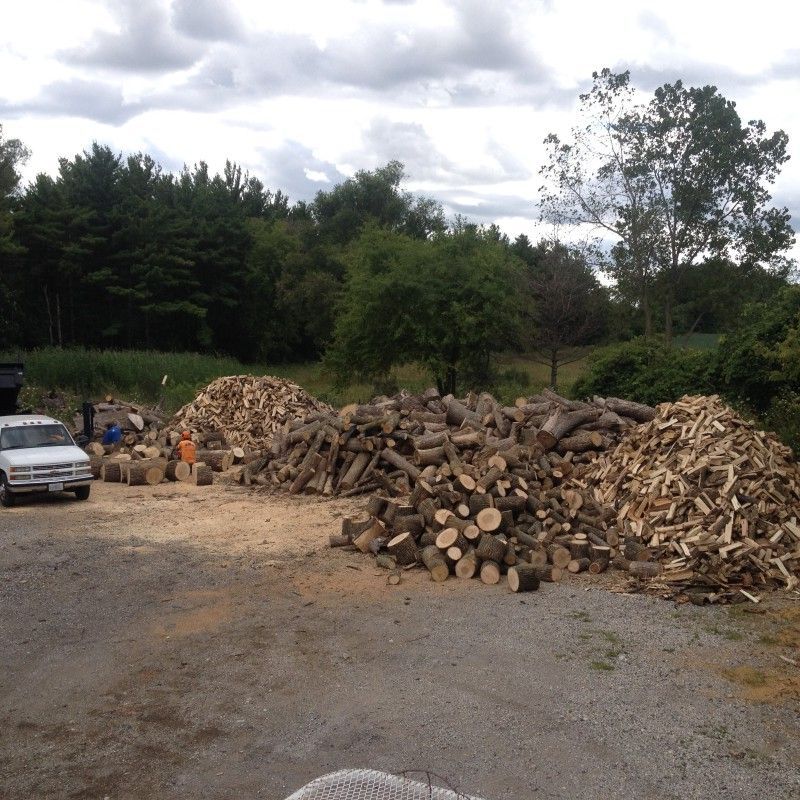 Wide view of split firewood inventory stacked at Haas Tree Service yard