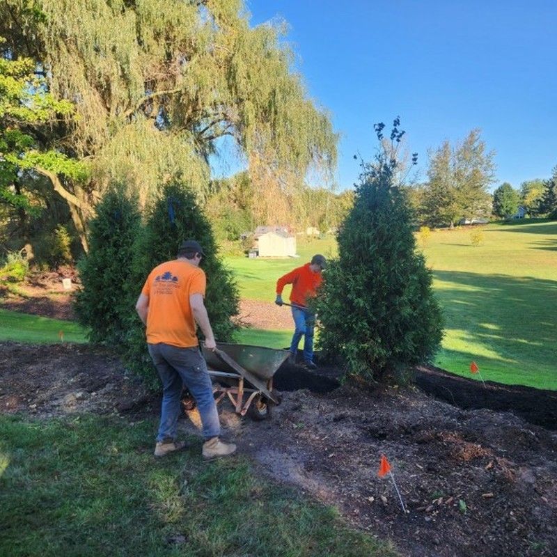 Crew planting arborvitae trees along a pathway in Pleasant Prairie, WI