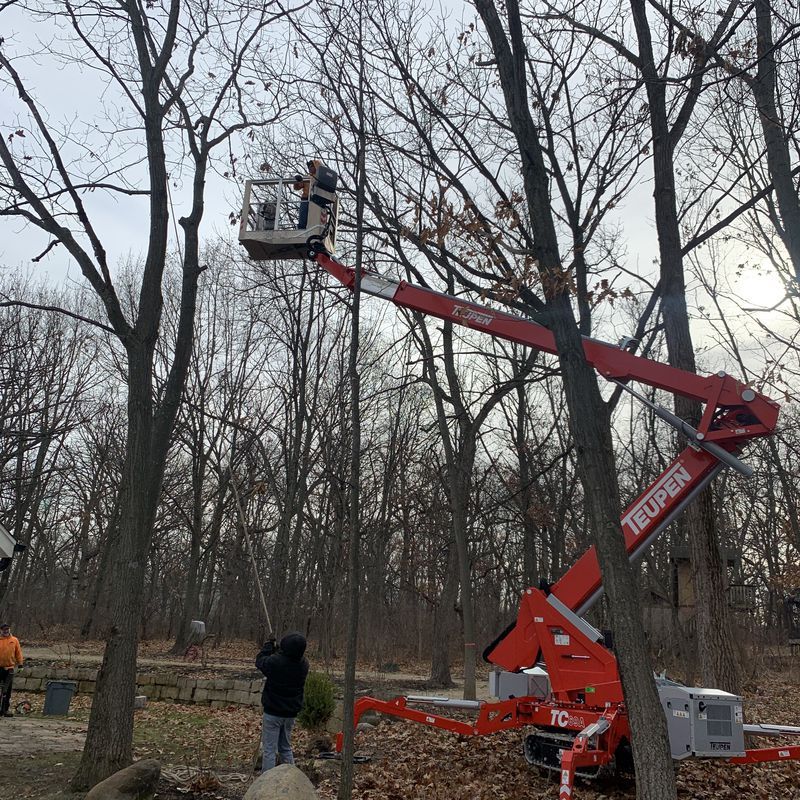 Bucket lift extending into bare tree branches during tree trimming