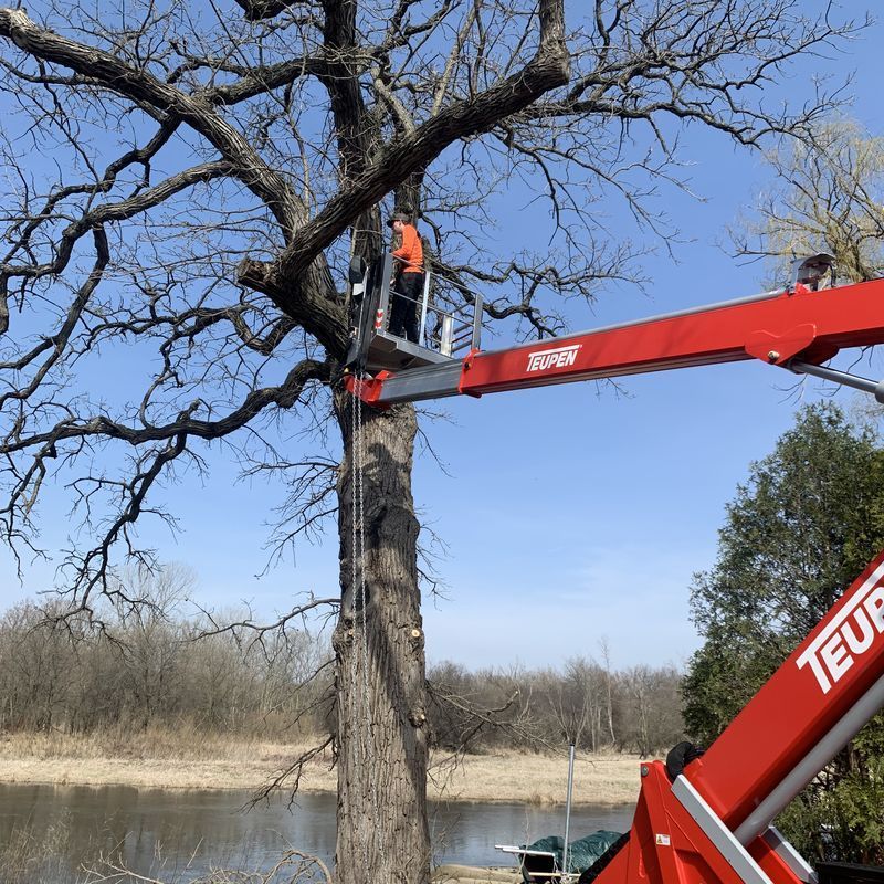 Arborist in red bucket lift working in a bare tree during tree removal