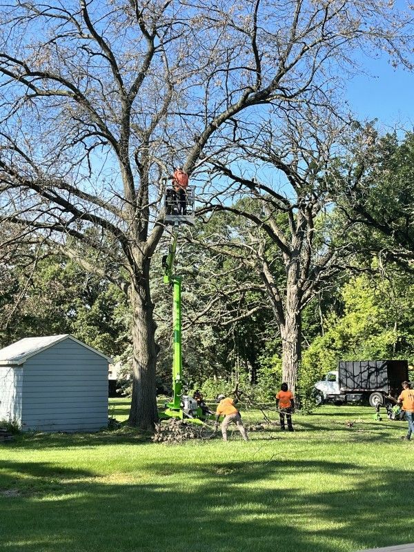 Arborist working from a bucket lift during a tree removal service in Kenosha, WI