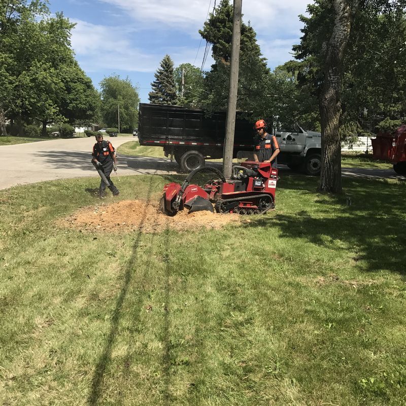 Stump grinding equipment and trailer parked on a residential street in Pleasant Prairie, WI
