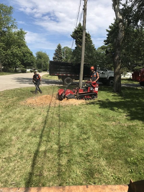 Tree service crew removing a stump near a utility pole in Pleasant Prairie, WI