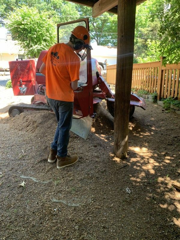 Arborist operating a stump grinder near a large tree stump in Kenosha, WI
