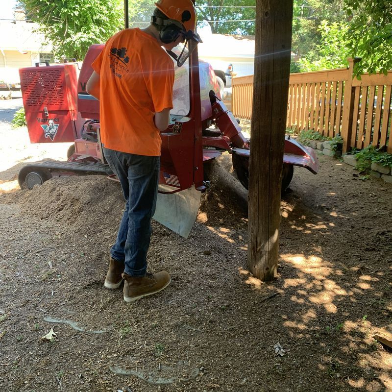 Technician in orange safety gear operating a stump grinder near a utility pole in Kenosha, WI