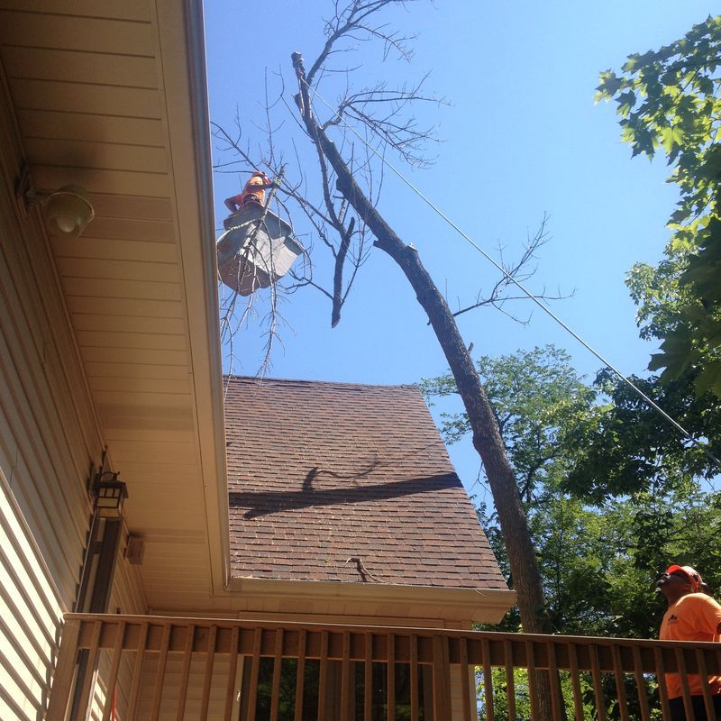 Arborist in bucket lift trimming tree limbs near a rooftop in Bristol, WI