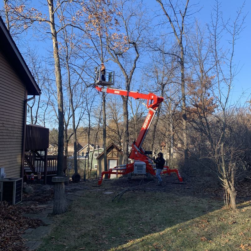 Bucket lift extending into bare tree branches during tree removal near Silver Lake, WI