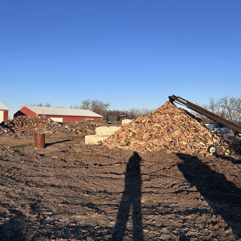 Large pile of wood debris and firewood processing pile at a job site