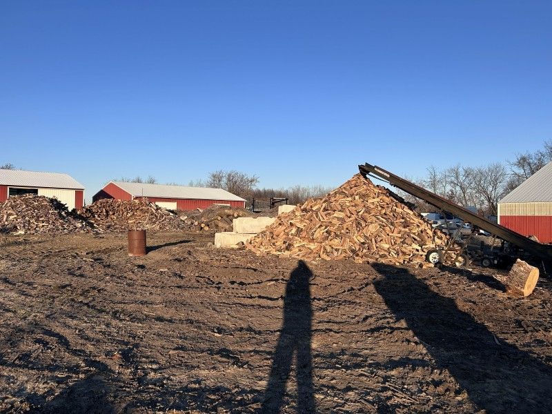 Large woodpile and firewood processing equipment at Haas Tree Service yard
