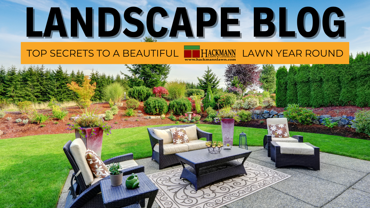 Hackmann Landscape Blog | Missouri Market Boss | St. Charles, MO