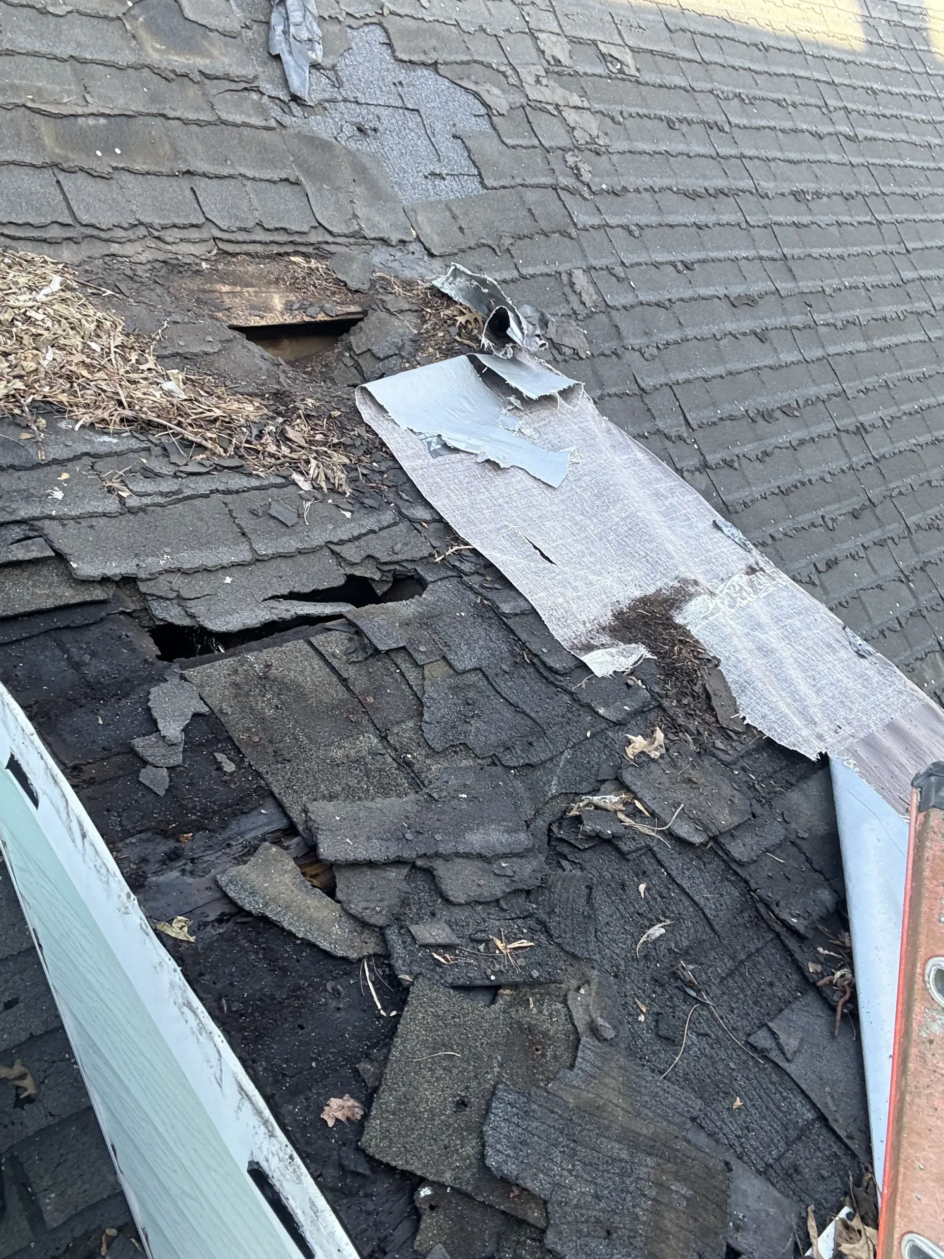 Damaged roof with missing shingles and exposed underlayment on a house