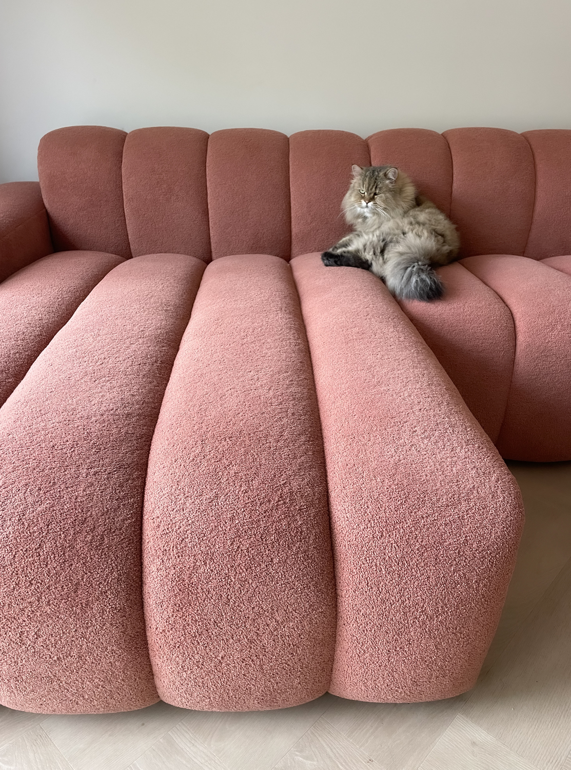 Een kat ligt op een roze bank.