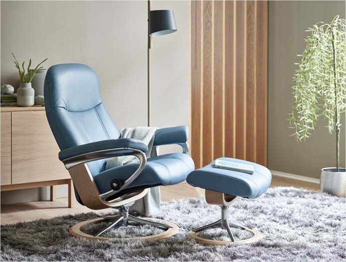 Contemporary Scandinavian Furniture Office Furniture Berkeley, CA