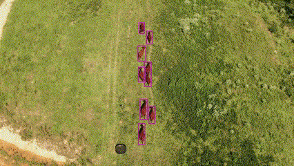 Ascent Lumina risinājumi